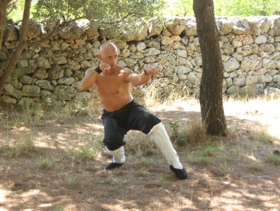 Kung Fu La Sfera Scuola Di Kung Fu Cinese