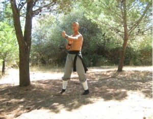 wingchun
